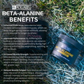 BETA ALANINE POWER FROM BLACKLABEL SUPPLEMENTS benefits including enhanced endurance and improved performance
