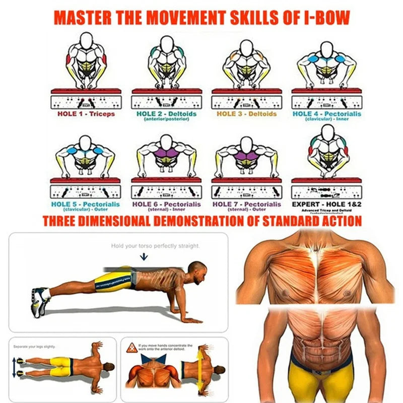 Master the movement skills to applied with Portable Multifunctional Push-up Board Set of I-Bow with this instructional image featuring push-up techniques and muscle highlights 